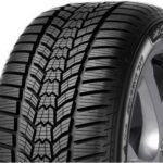 Sava Eskimo HP2 205/55 R16 91 H